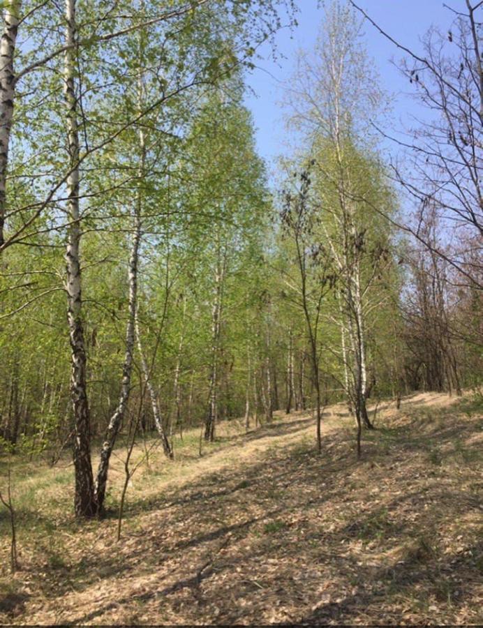 Дом Для Отдыха В Лесу Rzhyshchiv Exterior photo
